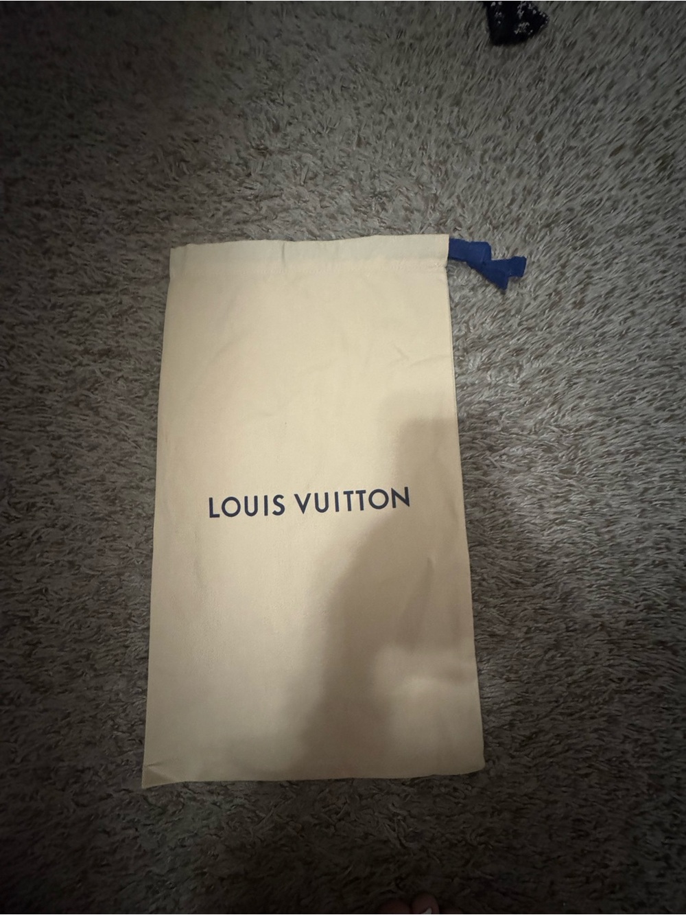 100% authentic Louis Vuitton dust bag